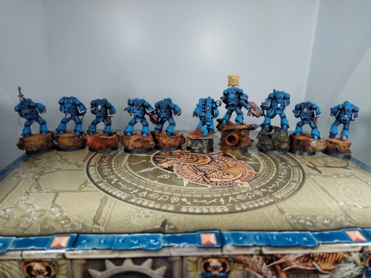 Warhammer 40k Space Marine Ultramarines Tactical Squad x10 (Pro-Painted)