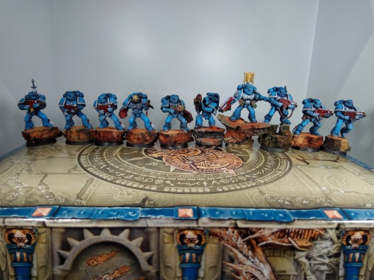 Warhammer 40k Space Marine Ultramarines Tactical Squad x10 (Pro-Painted)