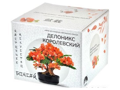 Сад Радости: Бонсай Делоникс королевский