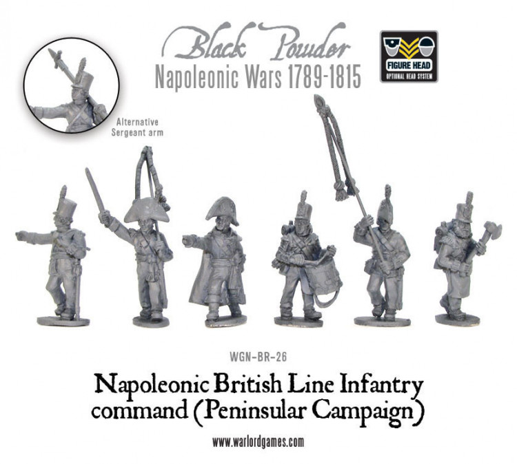 Napoleonic British Line Infantry command (Pensinsular War)