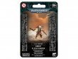 Kroot Flesh Shaper (Warhammer 40k, Tau Empire)
