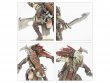 Kroot Flesh Shaper (Warhammer 40k, Tau Empire)