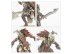 Kroot Flesh Shaper (Warhammer 40k, Tau Empire)