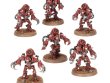 Ursarax Cohort (предзаказ 2025)