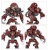 Ursarax Cohort