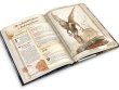 Fateforge: Летописи Эаны. Книга 3. Бестиарий