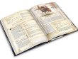 Fateforge: Летописи Эаны. Книга 3. Бестиарий