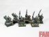 Warhammer Fantasy Battles Age of Sigmar Goblin Warband x60 (Pro-Painted)