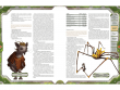 Starfinder. Серия приключений "Наперекор Вечному трону", выпуск №2: "Побег с тюремной луны"