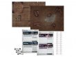 Warhammer 40k Starter Set (предзаказ 2023)