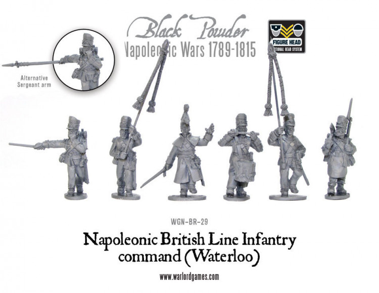 Napoleonic British Line Infantry command (Waterloo campaign)