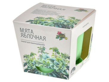 Магия Цветов: Мята яблочная