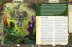 Pathfinder. НРИ. Вторая редакция. Серия приключений Kingmaker