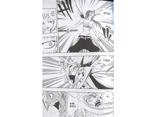 Хвост Феи. Том 12