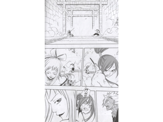 Хвост Феи. Том 12