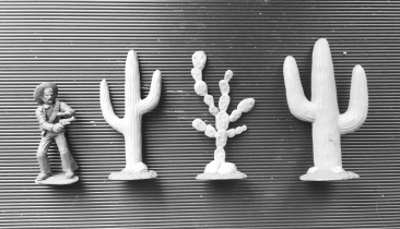 Кактусы в прерии