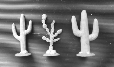 Кактусы в прерии