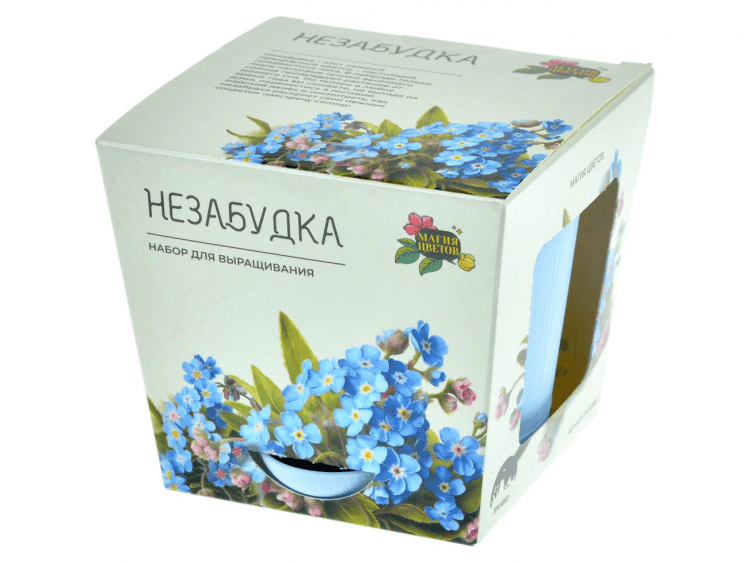 Магия Цветов: Незабудка