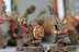 Warhammer Fantasy Battles Dwarf Thunderers x15 (99120205003) (Painted)