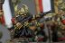 Warhammer Fantasy Battles Dwarf Thunderers x15 (99120205003) (Painted)