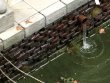 Текстурная паста Vallejo Diorama FX: Transparent Water 26.201