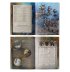 Battletome: Kharadron Overlords (предзаказ 2025)