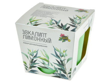 Магия Цветов: Эвкалипт лимонный