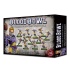 The Elfheim Eagles Blood Bowl Team