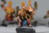 Warhammer Fantasy Battles Troll Slayers x10 (Painted)