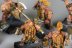Warhammer Fantasy Battles Troll Slayers x10 (Painted)