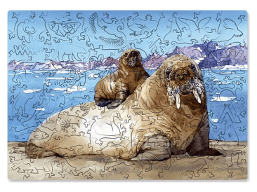 Пазл "Атлантический морж"