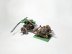 Warhammer Fantasy Age of Sigmar Orcs &amp; Goblins Boarboy Chariot (Metal Painted)