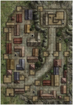 Pathfinder. НРИ. Вторая редакция. Большое игровое поле "Большая деревня"