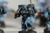 Warhammer 40k Space Marine Assault Squad x8 (99120101126) (Painted)
