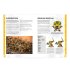 How To Paint Citadel Miniatures: Ironjawz
