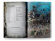 Dawnbringers: Book V: Shadow of the Crone (Eng) (предзаказ 2024, Age of Sigmar)