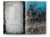 Dawnbringers: Book V: Shadow of the Crone (Eng) (предзаказ 2024, Age of Sigmar)