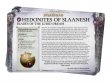 Faction Pack: Hedonites of Slaanesh (предзаказ 2024)