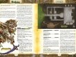 Pathfinder. НРИ. Вторая редакция. Kingmaker. Руководство по спутникам