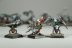 Warhammer Fantasy Battles Ogre Kingdoms Gnoblars #2 х23 (Painted)