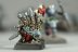 Warhammer Fantasy Battles Ogre Kingdoms Gnoblars #2 х23 (Painted)