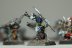 Warhammer Fantasy Battles Ogre Kingdoms Gnoblars #2 х23 (Painted)