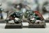 Warhammer Fantasy Battles Ogre Kingdoms Gnoblars #2 х23 (Painted)