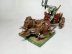 Warhammer Fantasy Age of Sigmar Orcs &amp; Goblins Boarboy Chariot (Well Painted)