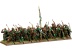 Wood Elf Glade Guard BOX