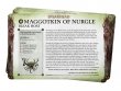 Faction Pack: Maggotkin of Nurgle (предзаказ 2024)