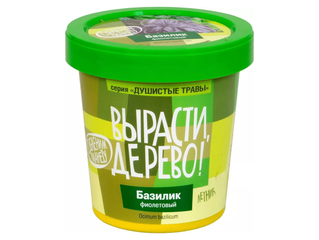 Вырасти дерево: Базилик фиолетовый