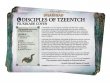 Faction Pack: Disciples of Tzeentch (предзаказ 2024)