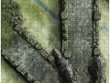 Pathfinder. НРИ. Вторая редакция. Большое игровое поле "Большой мост