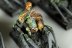 Warhammer Fantasy Battles Forest Goblin Spider Riders x9 (99120209009) (Painted)